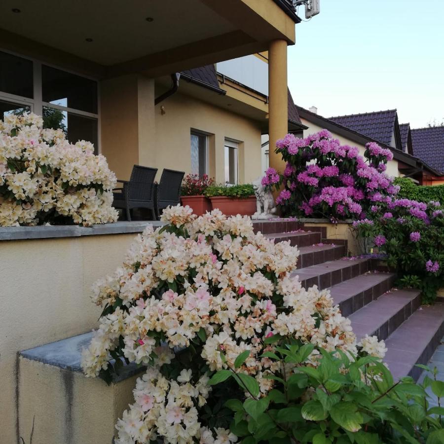 Hotel Rezident Consult S.R.O. Pressburg Exterior foto